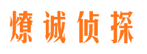 岭东侦探公司